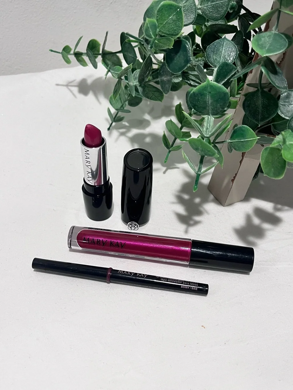 Mary Kay Lip Bundle